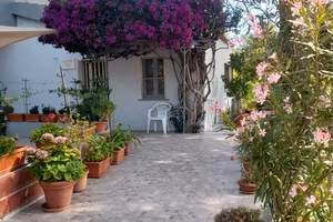 "   Casa Bouganville    " La Caletta 
