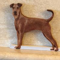 Ireland Terrier