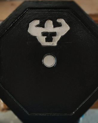 Dischi palestra - Dischi da 5/10/20KG