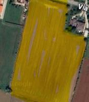 Terreno agricolo fronte strada