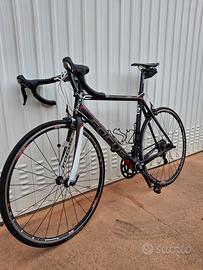 bici corsa Focus Cayo 