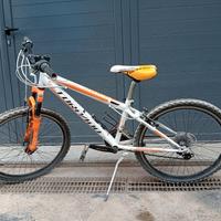 Bici Torpado 
