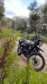 Himalayan Royal Enfield 411 del 2022