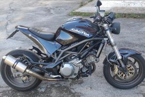 Raptor 1000 personalizzato 