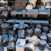 Fotografia collezione al 24 maggio