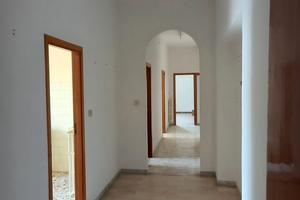 Appartamento libero, Lucera FG-Puglia