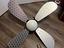 Immagine 5