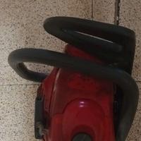 MotosegA efco professionale usat