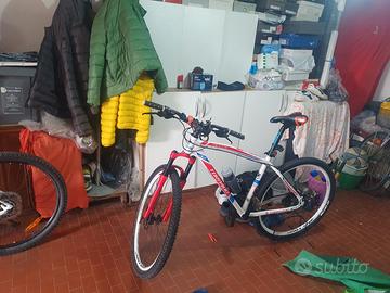 Mountain bike