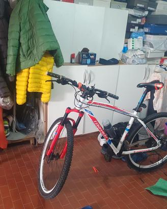 Mountain bike