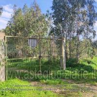 Terreno Agricolo San Vito [A4339746]