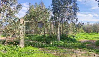 Terreno Agricolo San Vito [A4339746]