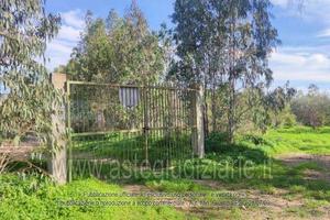 Terreno Agricolo San Vito [A4339746]