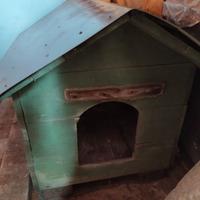 CUCCIA CANE