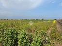 ter-agricolo-a-brindisi