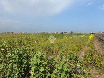 TER. AGRICOLO A BRINDISI
