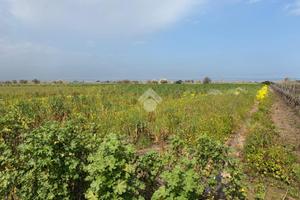 TER. AGRICOLO A BRINDISI