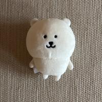 Peluche joke bear nagano