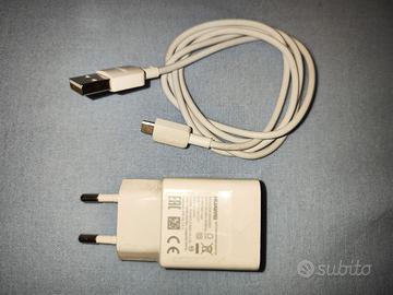 caricabatterie è un cavo