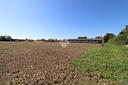 ter-agricolo-a-trivignano-udinese