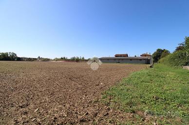 TER. AGRICOLO A TRIVIGNANO UDINESE