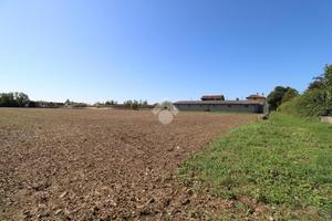 TER. AGRICOLO A TRIVIGNANO UDINESE