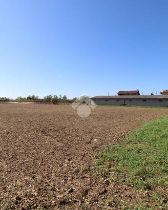 TER. AGRICOLO A TRIVIGNANO UDINESE