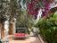 Immagine 12