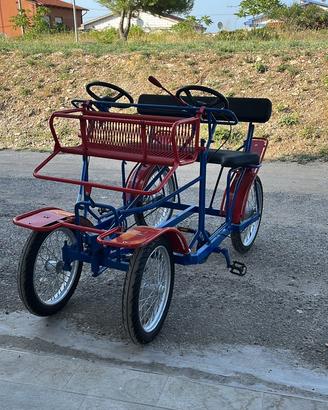 Riscio 3 posti con motore elettrico
