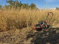 trincia erba Blue Bird