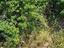 Immagine 10