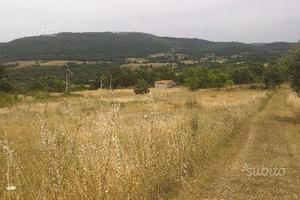 Terreno edificabile