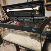 acquario 80 litri 