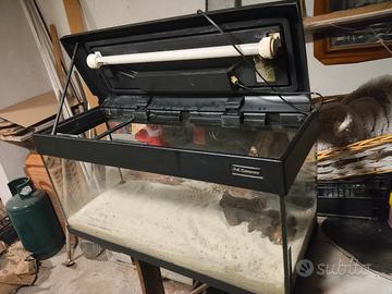 acquario 80 litri 