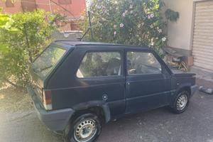 Panda Young 900
