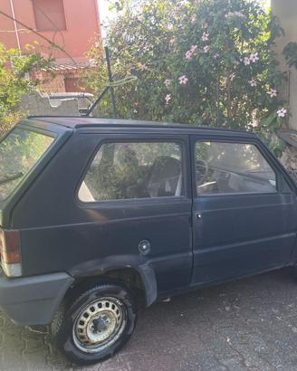 Panda Young 900