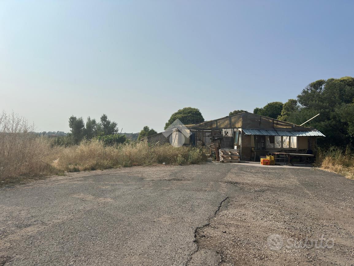 TER. AGRICOLO A ROMA - Altro