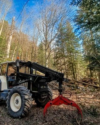 Trattore con palo forestale e freni  a libretto