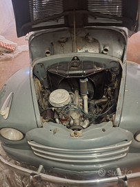 Giardinetta Topolino Belvedere