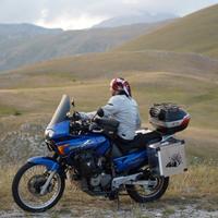 HONDA TRANSALP XL V 650 anno 2002