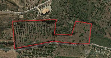 Terreno di 20.000 mq con rustico e magazzino