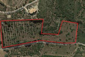 Terreno di 20.000 mq con rustico e magazzino