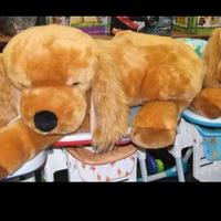 peluche gigante cane