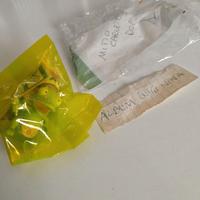 Sorpresina Carletto indiano