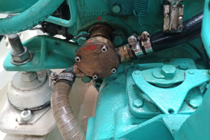 Motore marino Volvo Penta MD11C