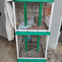 gabbia per uccelli