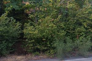 Terreno agricolo Sant 'Alfio