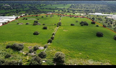 Terreno Agricolo