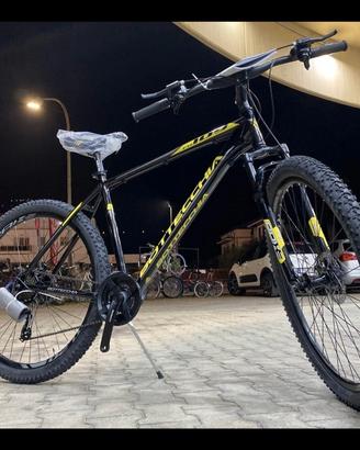 MTB  29 Bottecchia 109 taglia L