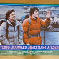 Un lupo mannaro americano a Londra (fotobusta)